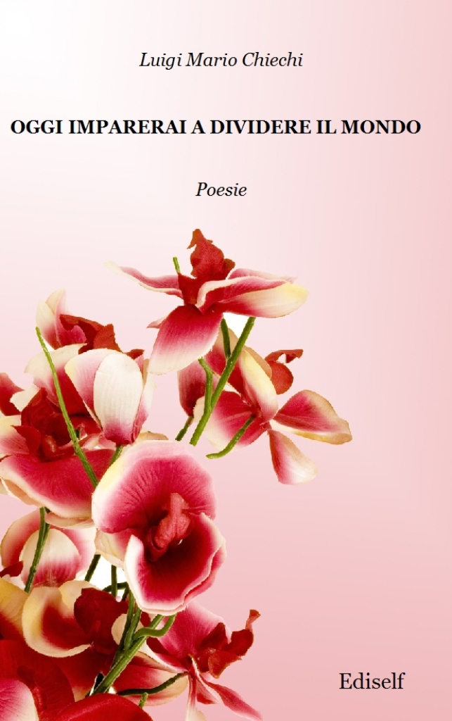 Oggi imparerai a dividere il mondo